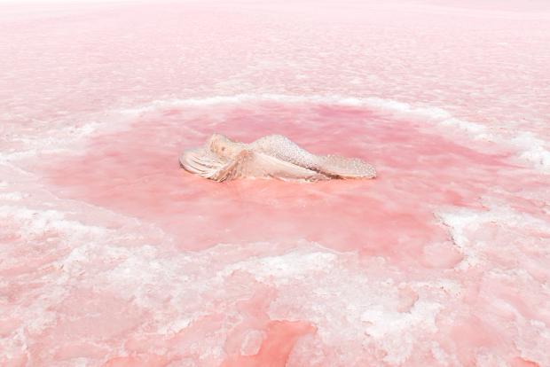 Salt Pool